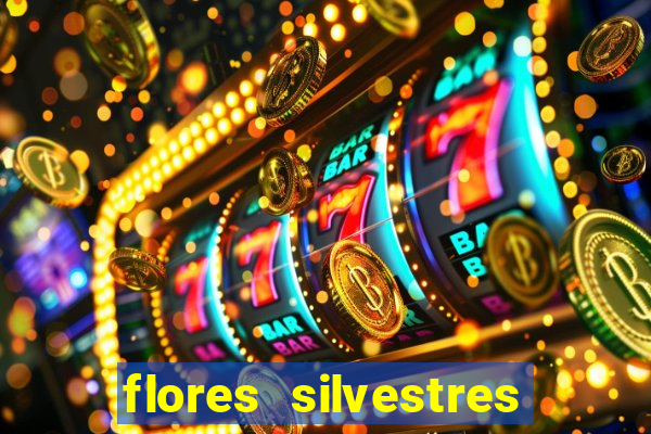 flores silvestres desbravadores desbravadores 25 flores silvestres e seus nomes